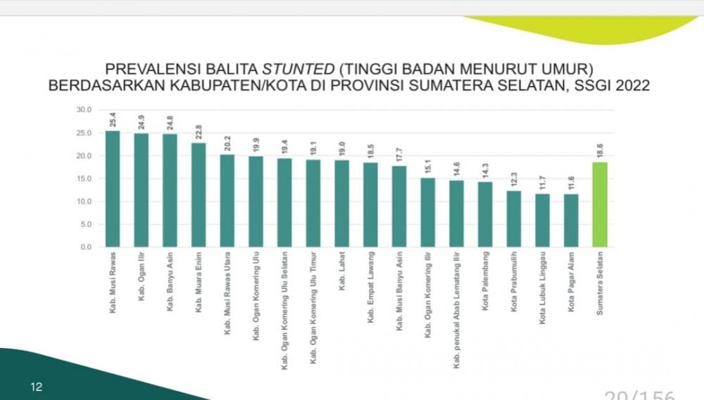 Angka Stunting Cuma 11,6 Persen, Kota Pagar Alam Jadi Terbaik dari 17 Kabupaten/Kota se-Sumsel