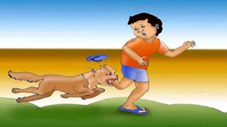 Anjing dengan Rabies: Sekali Gigit, Nyawa Menjerit
