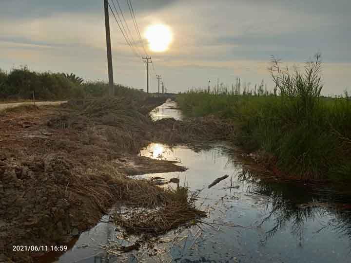 Beraroma Modus Merampok Uang Negara, PPMI Soroti Proyek Infrastruktur Pengairan di Mesuji