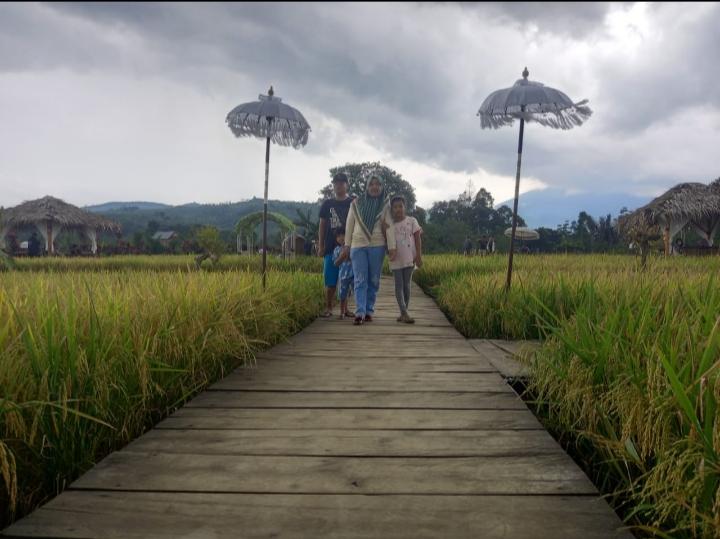 Bukan di Bali, Objek Wisata Ini Adanya di Pagar Alam