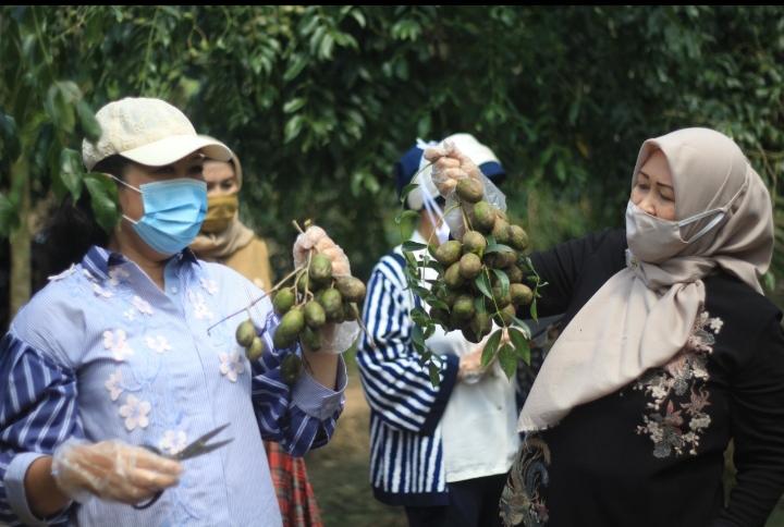 Feby Deru dan Fauziah Mawardi Sumbang Buah Segar untuk Penghuni Rumah Sehat JSC