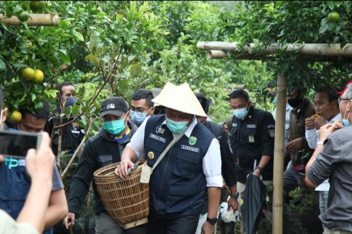 HD Intruksikan Pemkot Pagaralam Sediakan Layanan Transportasi Bus Wisata Terbuka