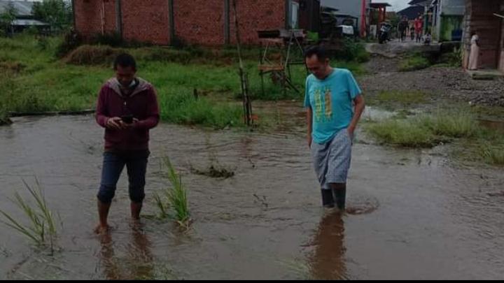 Hujan Deras, Air Bah Rendam Sawah dan Perumahan Warga di Pagaralam