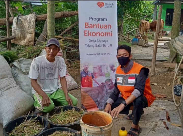 Relawan Rumah Zakat Edukasi Peternak Mengolah Kotoran Sapi Menjadi Pupuk Kompos