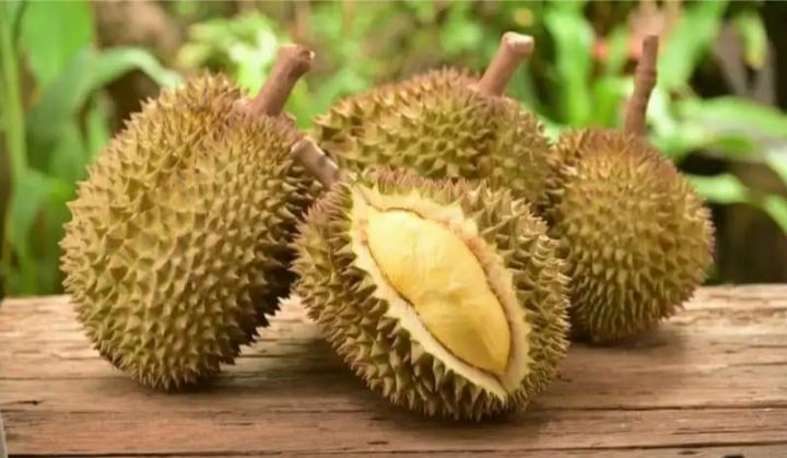 Ternyata Bukan Kolestrol yang Ditakuti dari Durian, Justru Besaran Kalorinya
